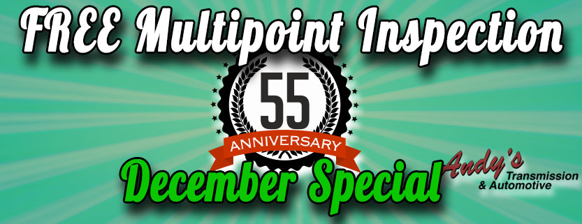FREE Multipoint Inspection - Moose Jaw - December Special